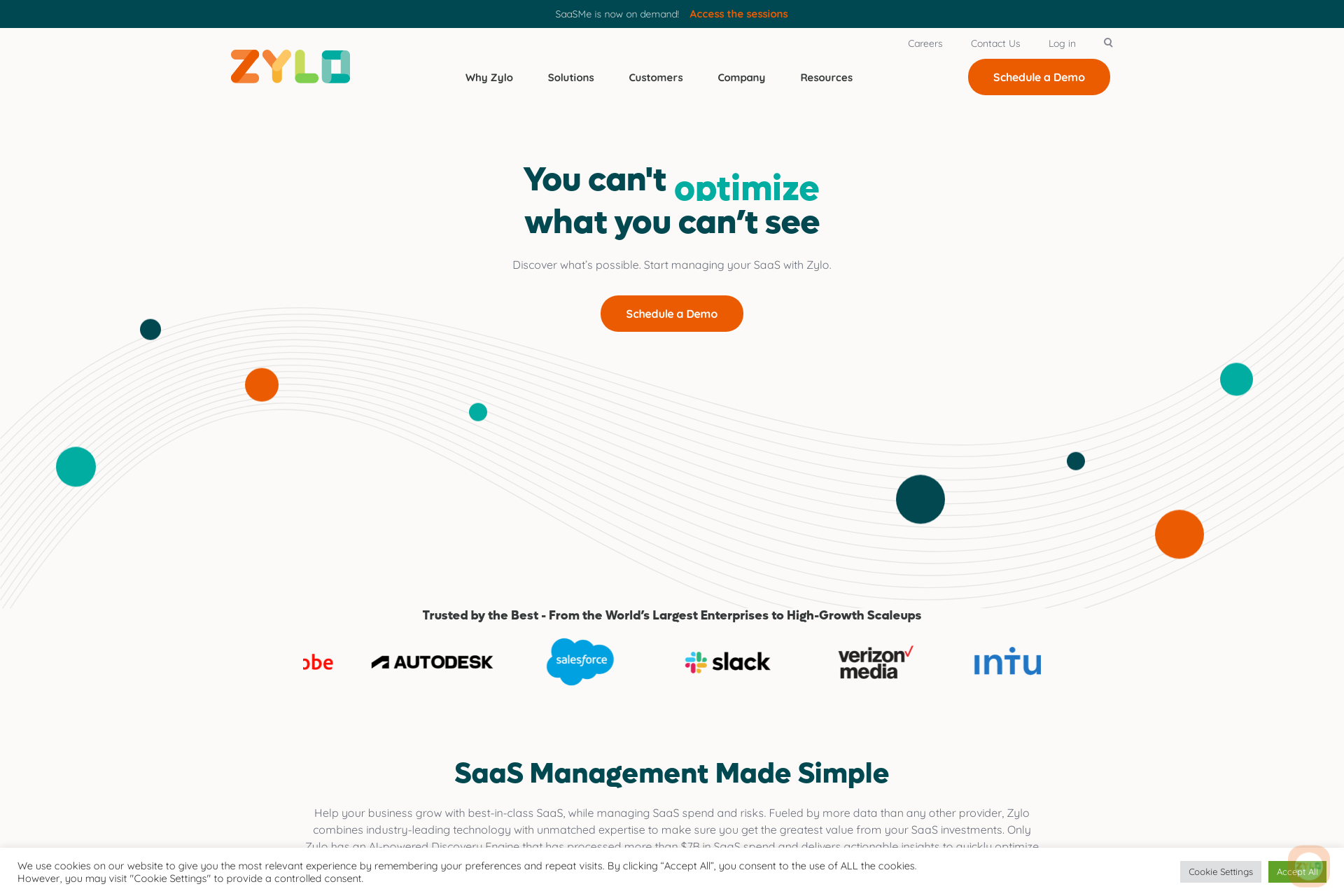 Zylo Website User Interface