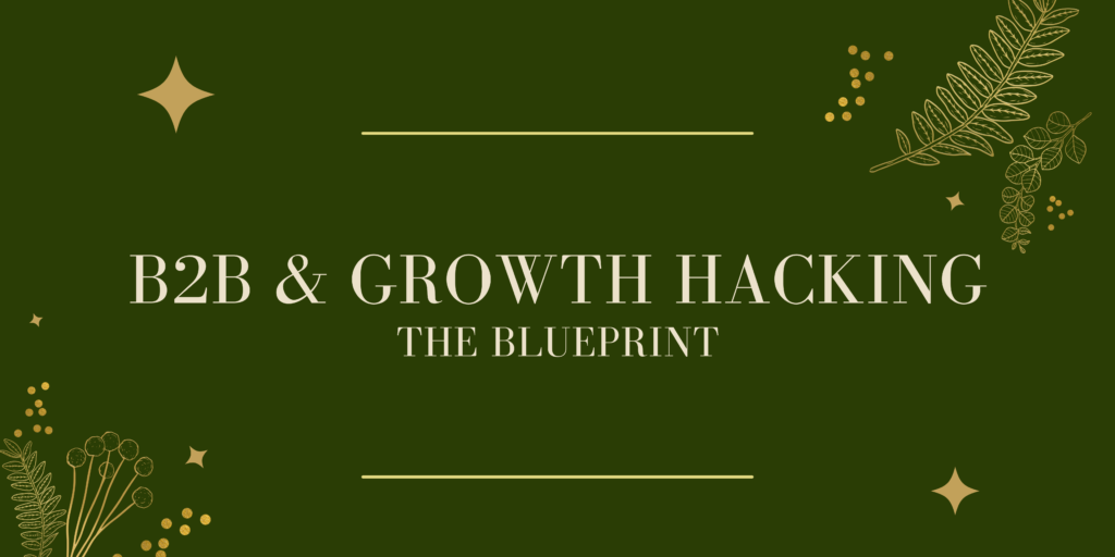 B2B Growth Hacking Blueprint