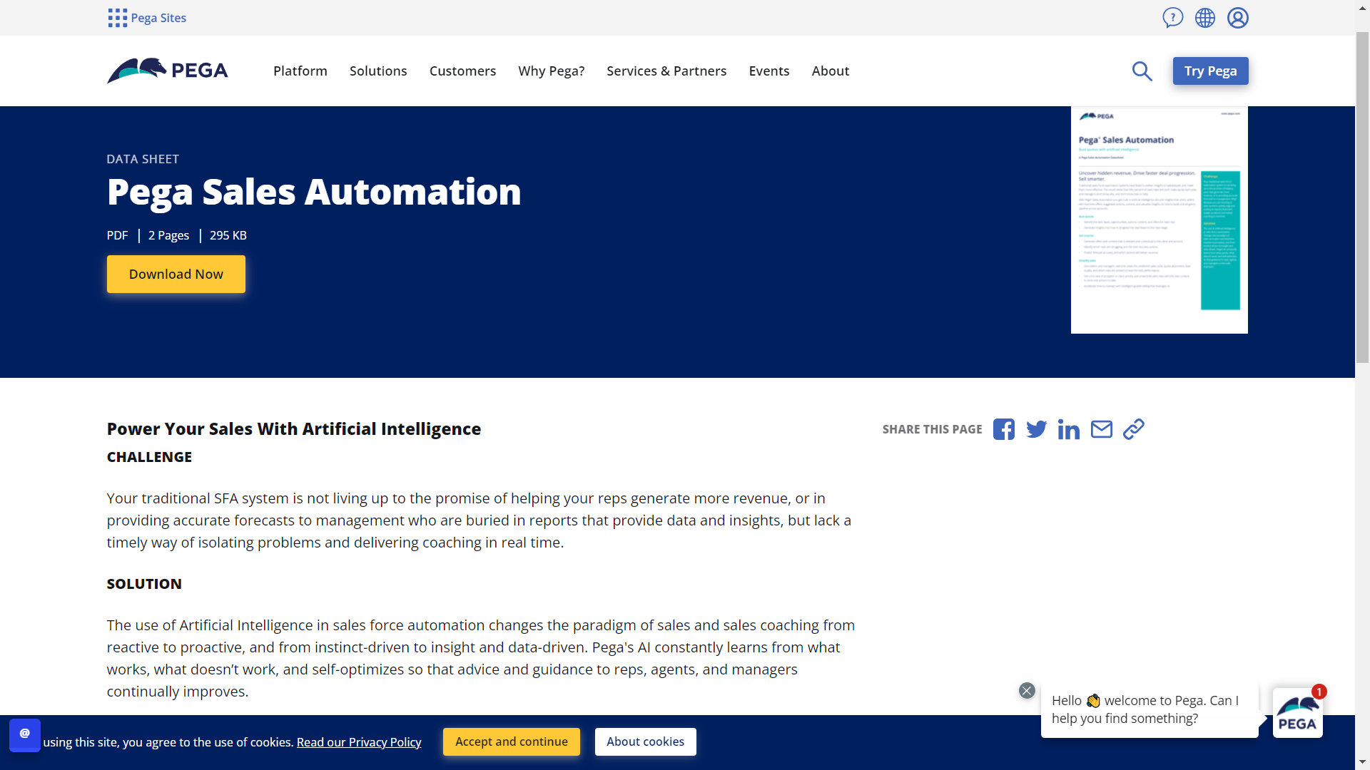 Pega Sales Automation Website User Interface