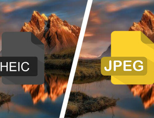 Understanding JPG vs. HEIC Formats: Quick & Free Conversions