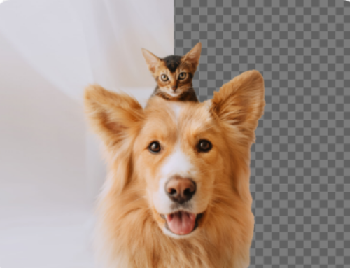 10 Creative Ways to Use Background Removal tool for Images