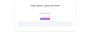 Image Colorizer