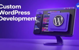 WordPress custom development